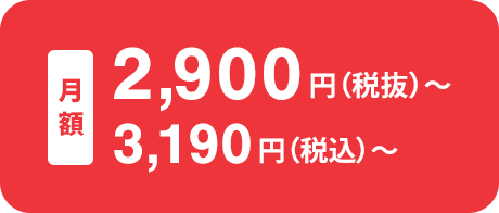 2,900円～（税込3,190円～）/月