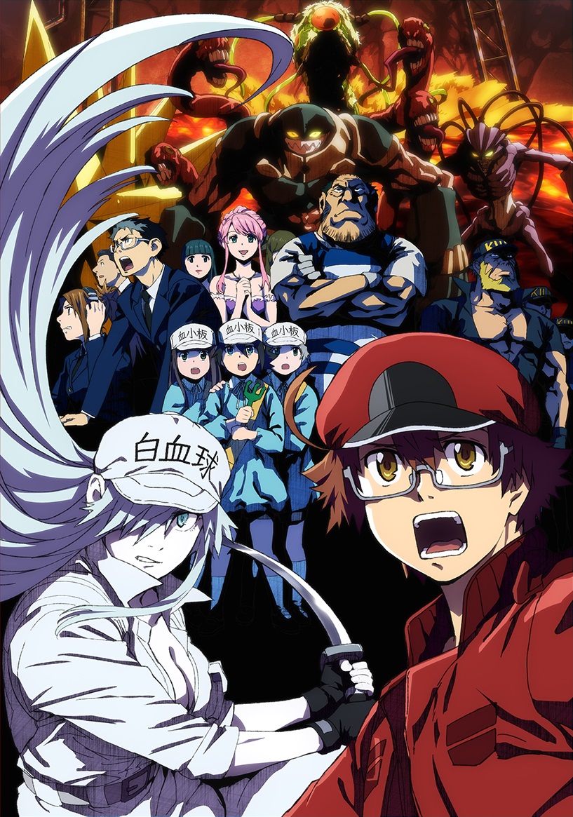 アニマックスHD