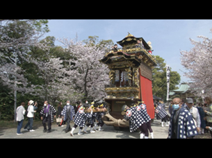 知多北部春祭り特集