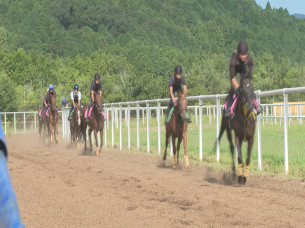 湖南馬事センターの半年 ~目指せ!一流のホースマン~
