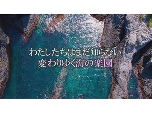 わたしたちはまだ知らない 変わりゆく海の楽園